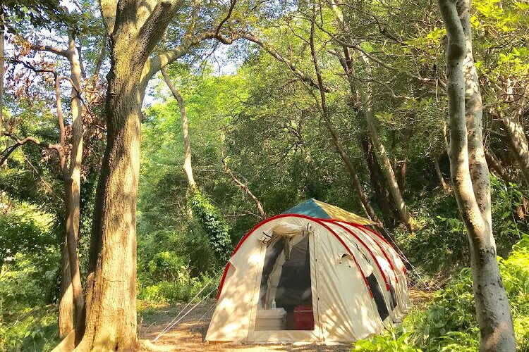 Forest Camp 南伊豆の写真 2枚目