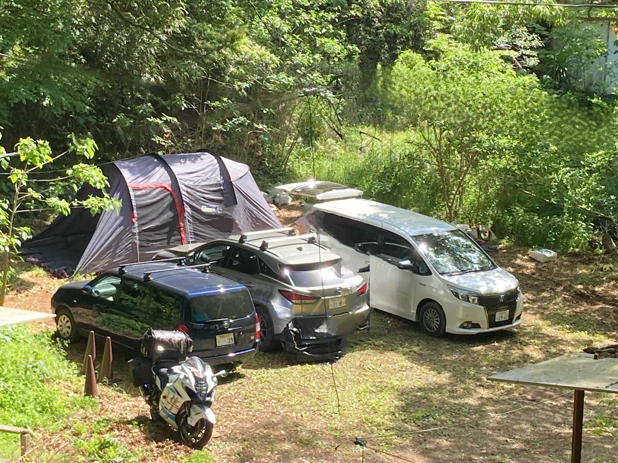 Forest Camp 南伊豆