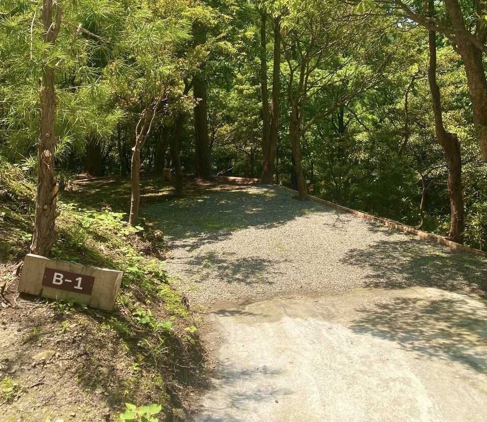 Plageforetの写真 5枚目