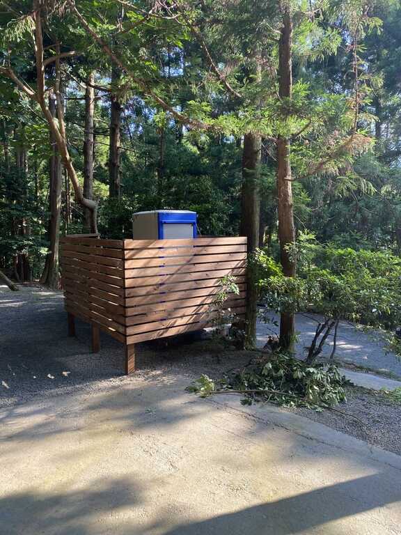 Plageforet photo 5