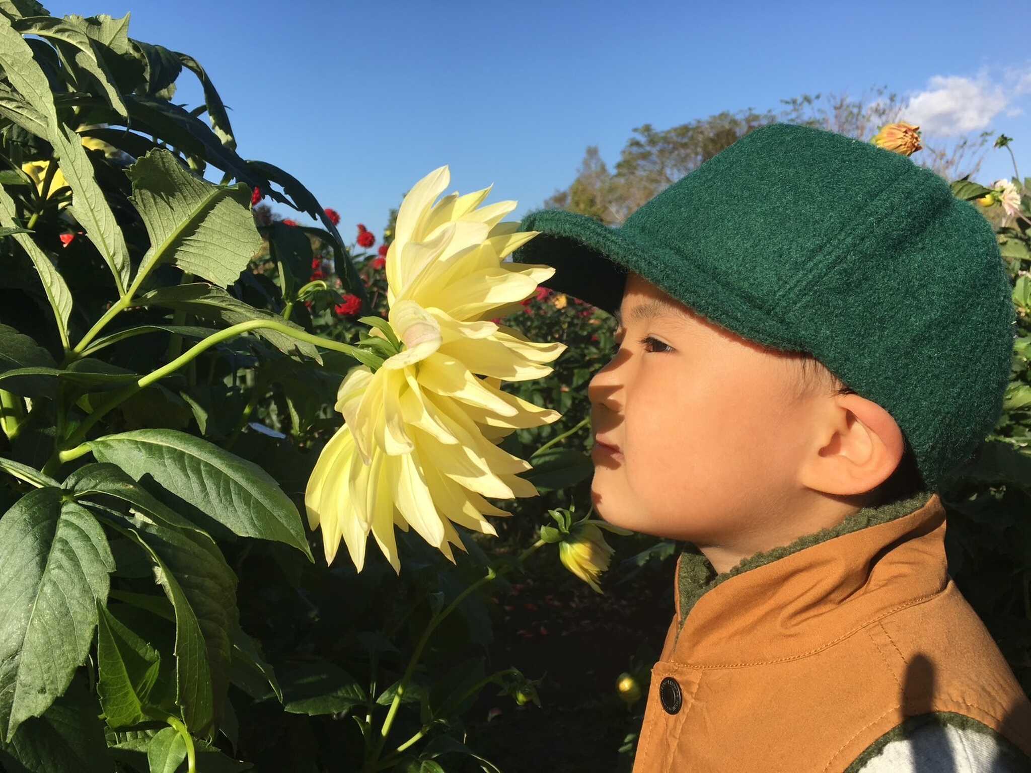 山に恋するキャンプ場(旧:やまびこの丘公園キャンプ場)の写真 2枚目