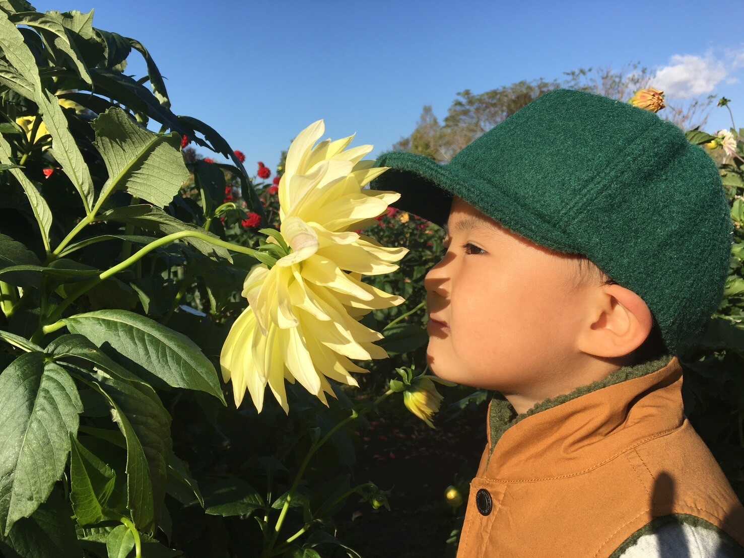 山に恋するキャンプ場(旧:やまびこの丘公園キャンプ場)の写真 2枚目