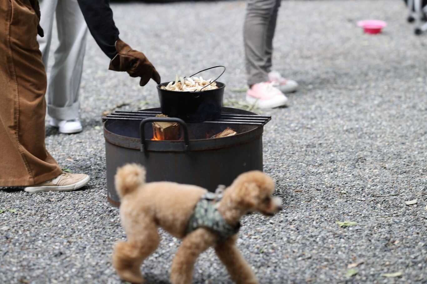 camp.24北軽井沢フィールド photo 3