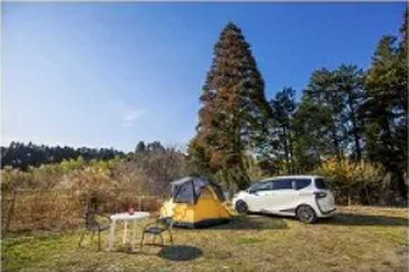 nigovillagecampの写真 3枚目