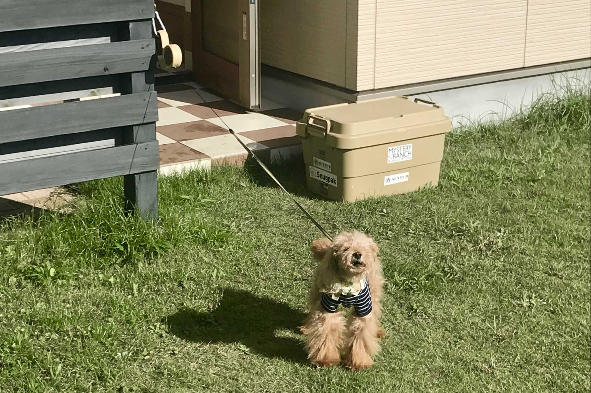 テラスツイン(2室)/ワンちゃんと一緒に宿泊していただけます♪(小型犬2匹まで)
