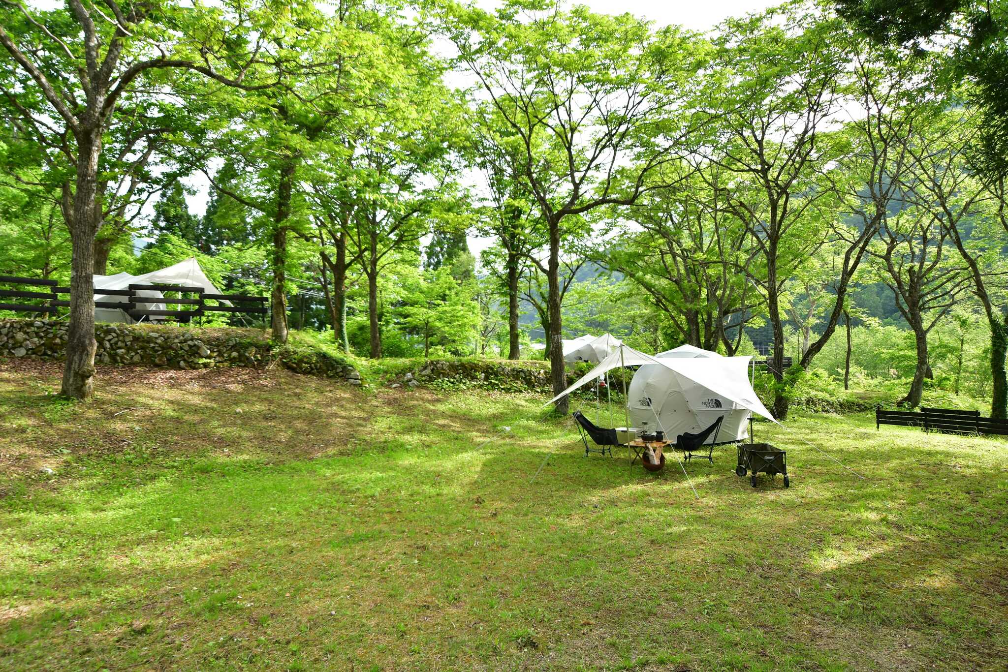 【R6/6 現在 一時休業】TOGA ART CAMPGROUND