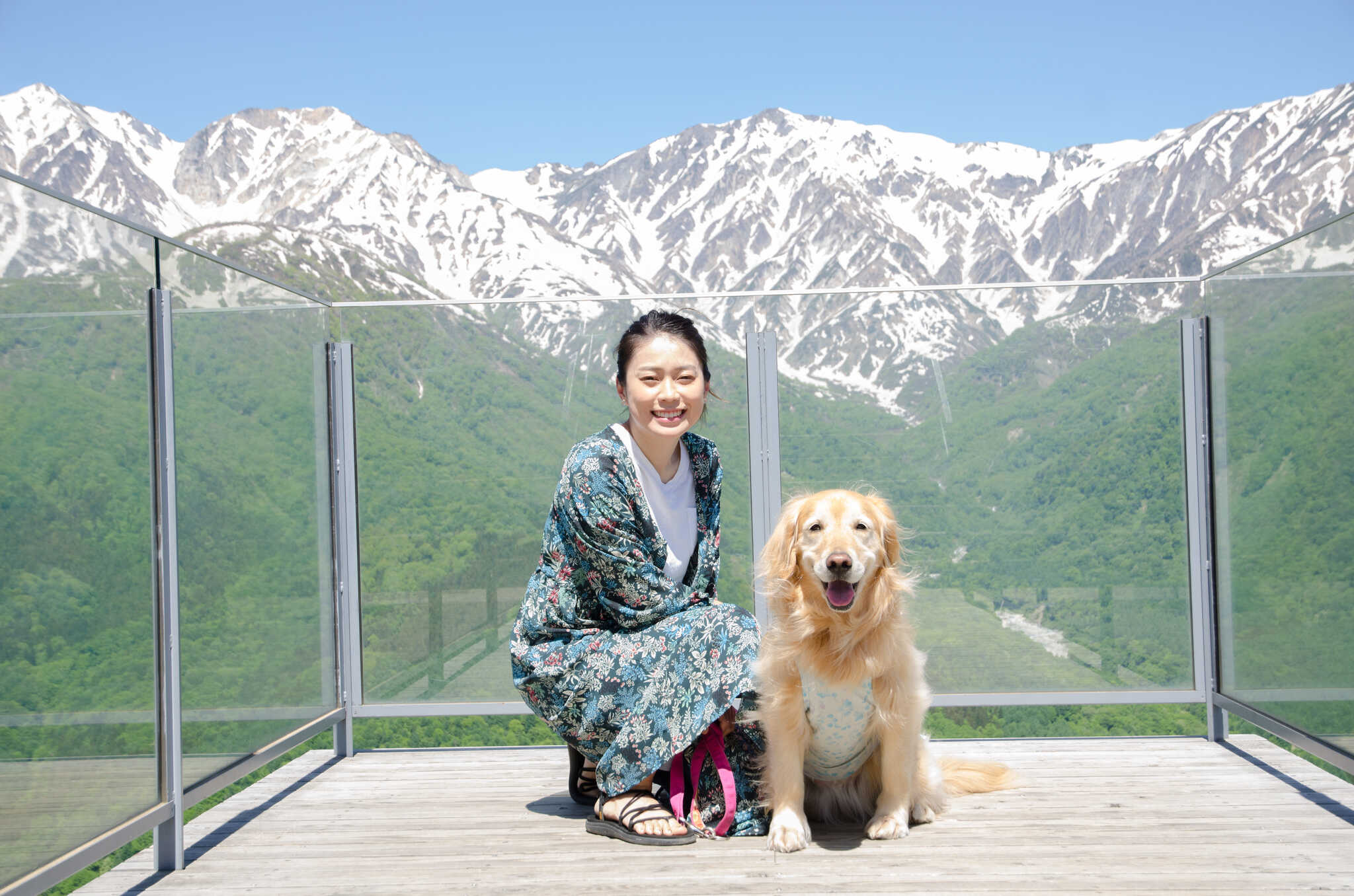 キャンプ場からの眺めは絶景!ワンちゃんと一緒にお楽しみください!
