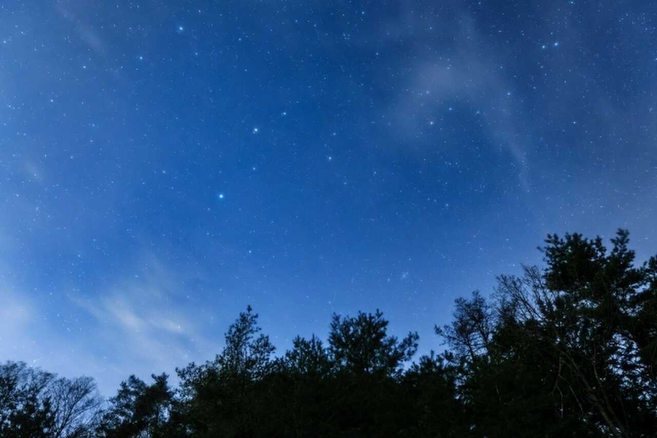 アグリーブルむかわの写真 4枚目