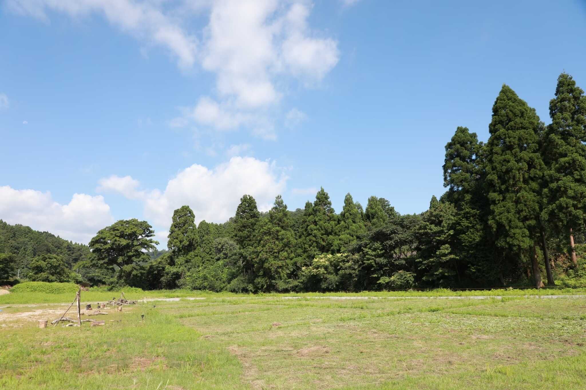 安曇川キャンプ場の写真 5枚目