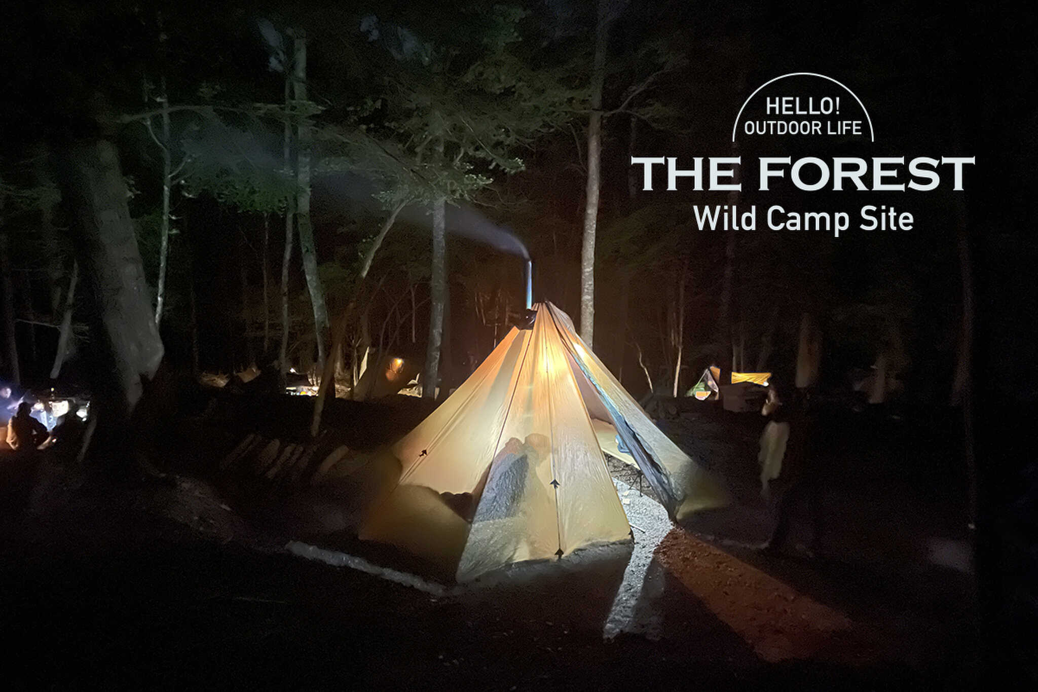 THE FOREST