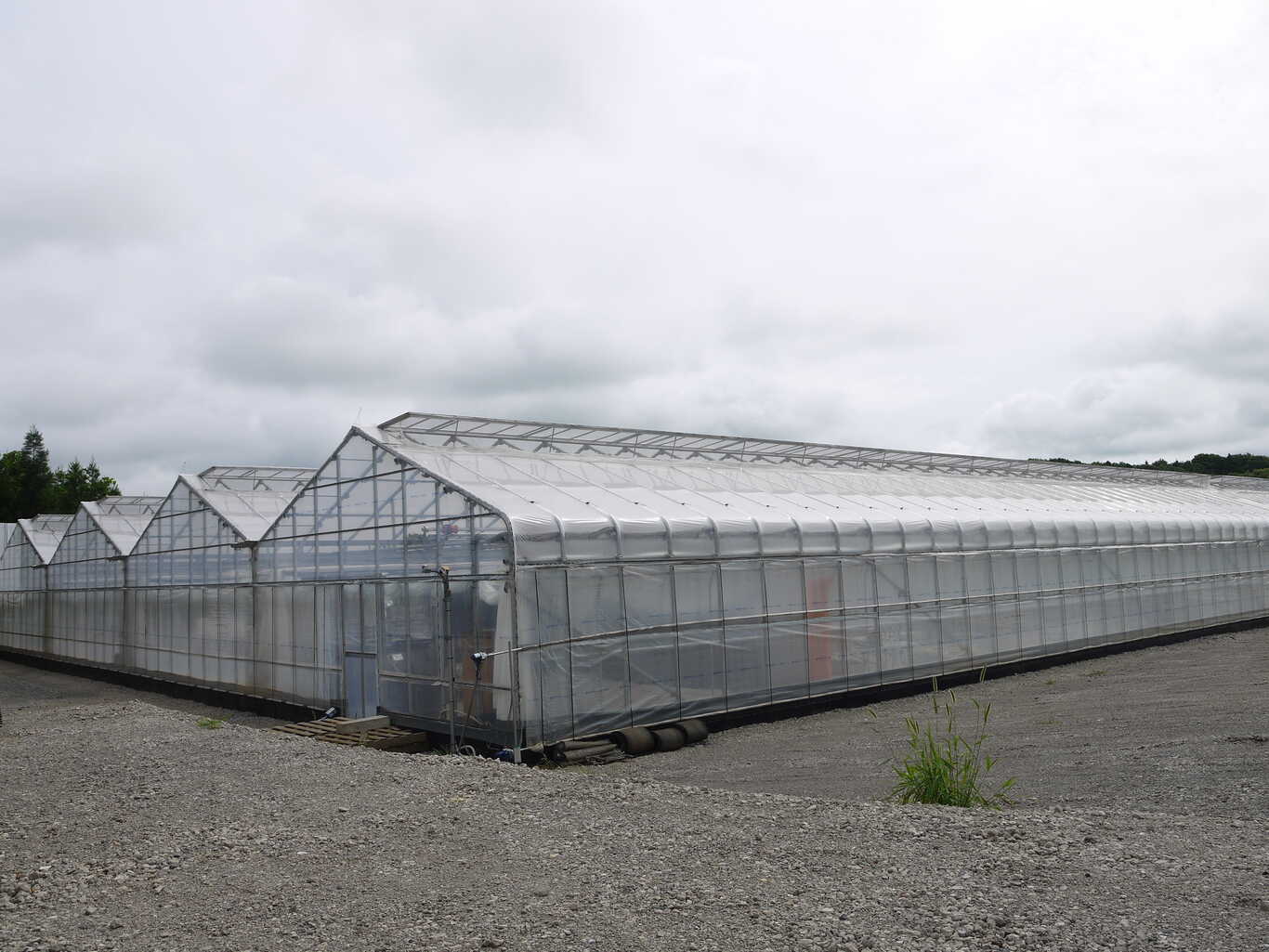 ogawa GRAND lodge FIELD photo 2