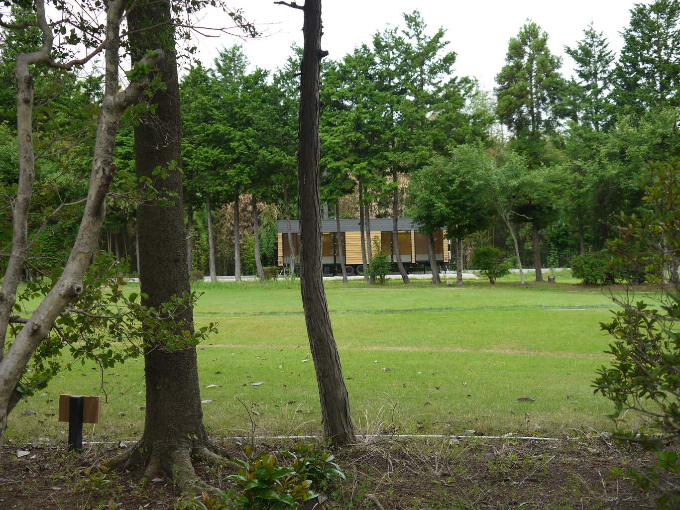 ogawa GRAND lodge FIELD photo 4