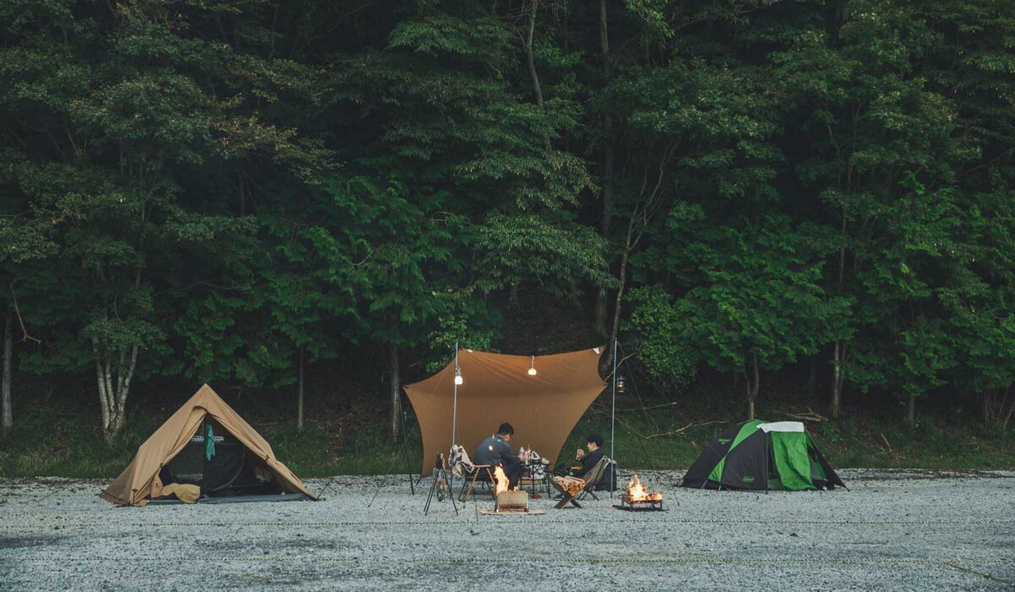moss camp field