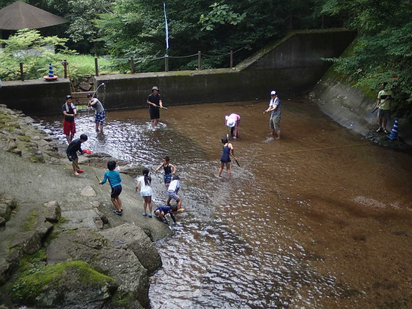 大分県県民の森平成森林公園キャンプ場 photo 4