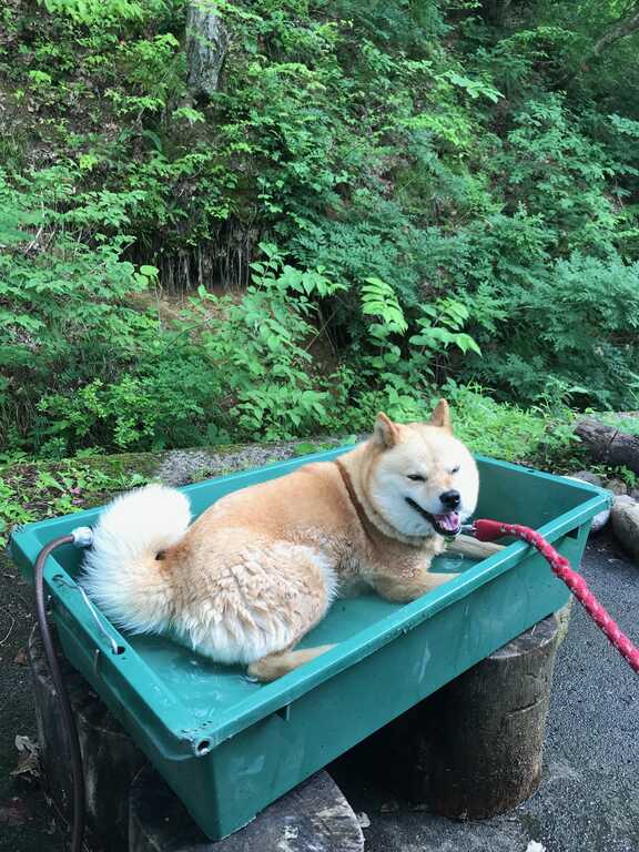 ピザカヤ 陶芸とキャンプのサイト photo 4