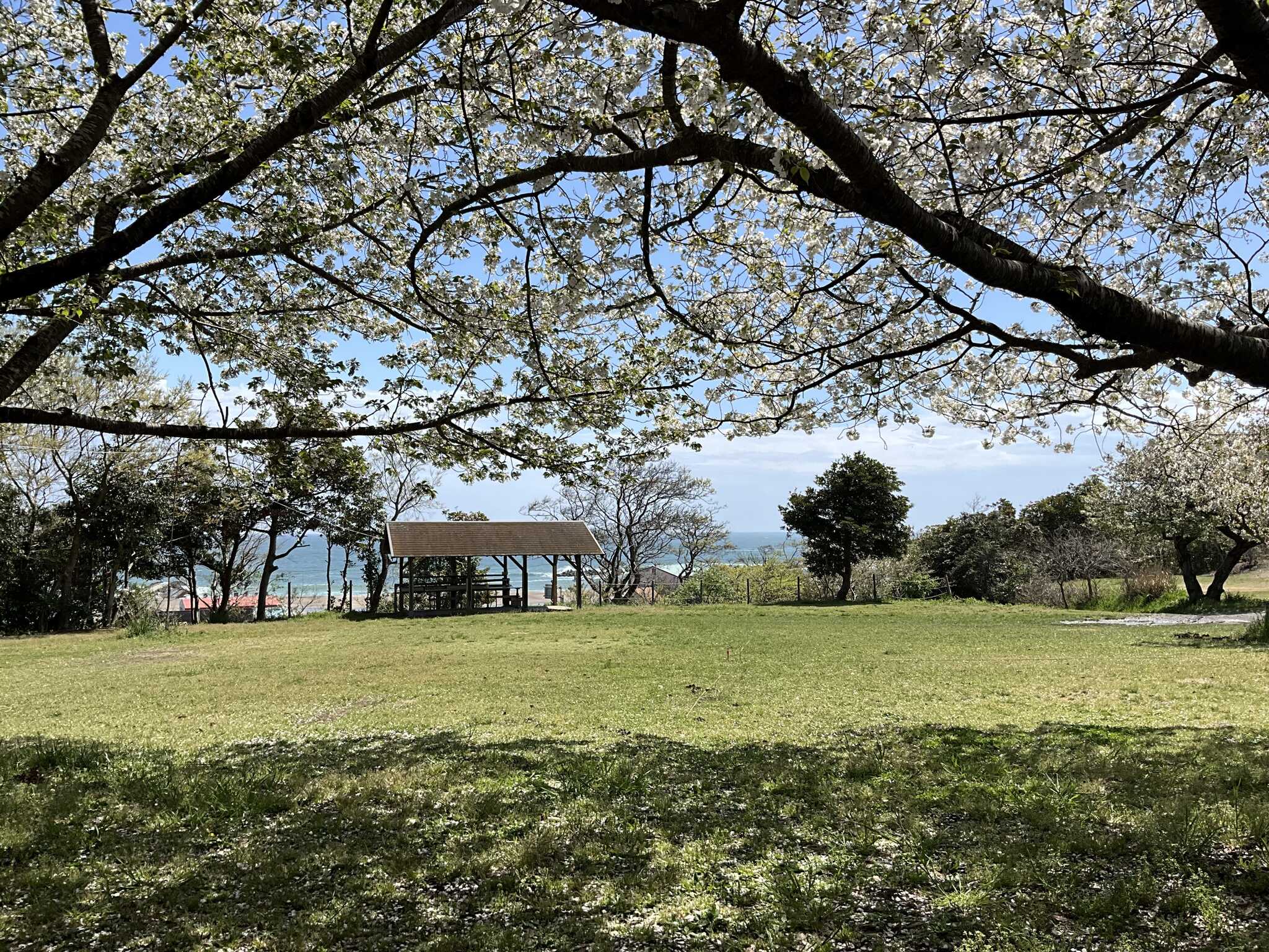 田の上キャンプ場