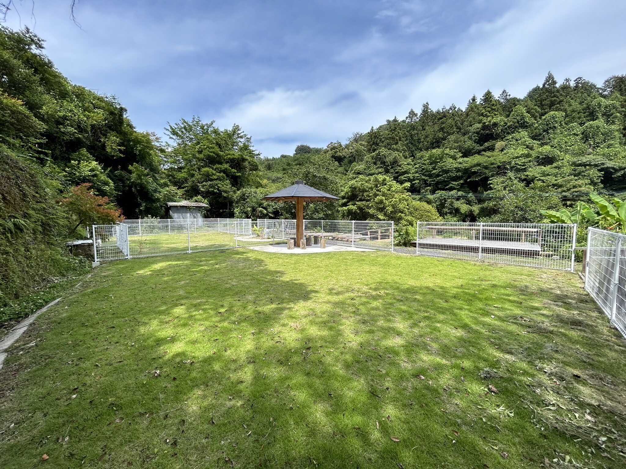 空気の森キャンプ場の写真 3枚目