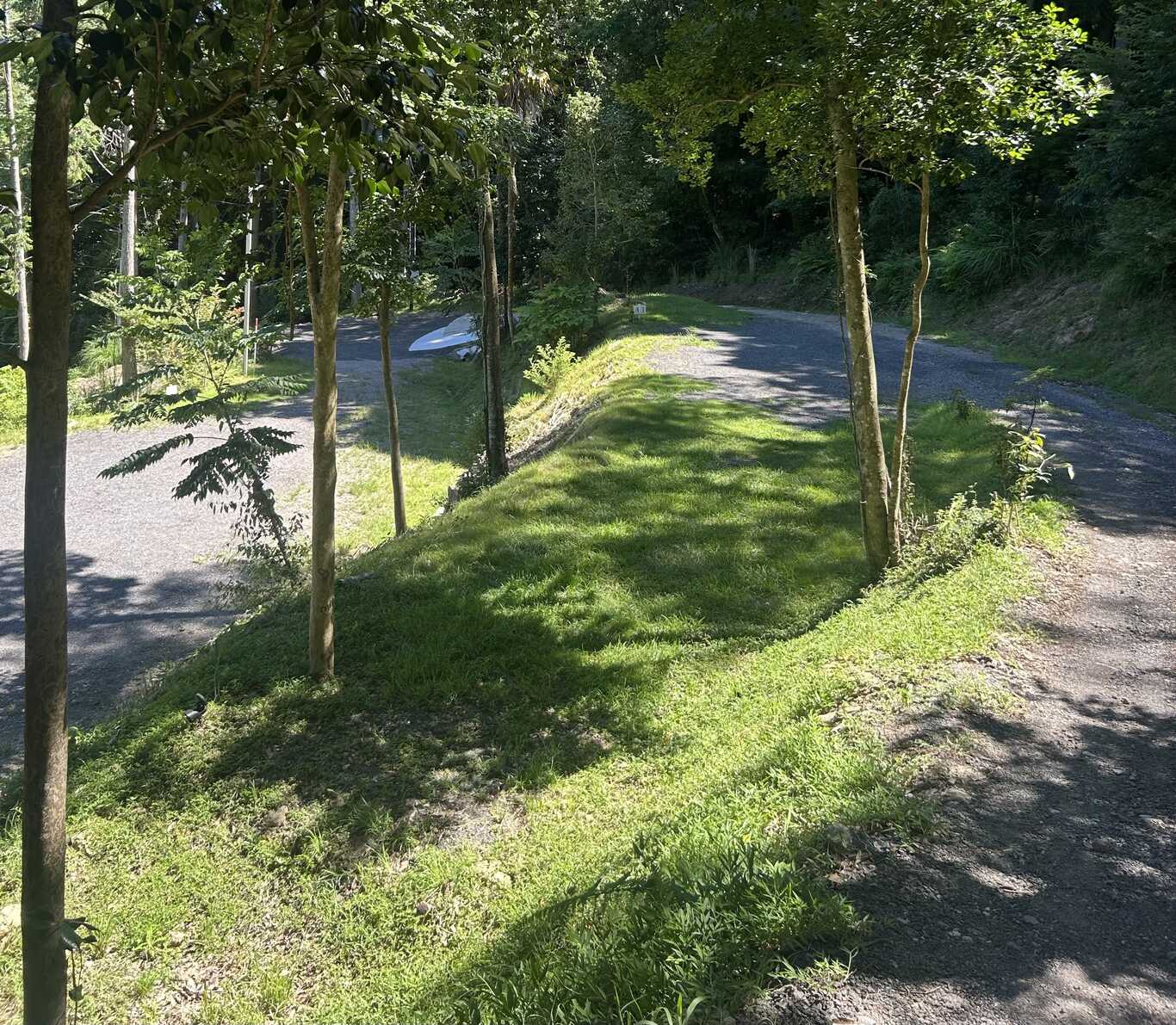 空気の森キャンプ場 photo 2