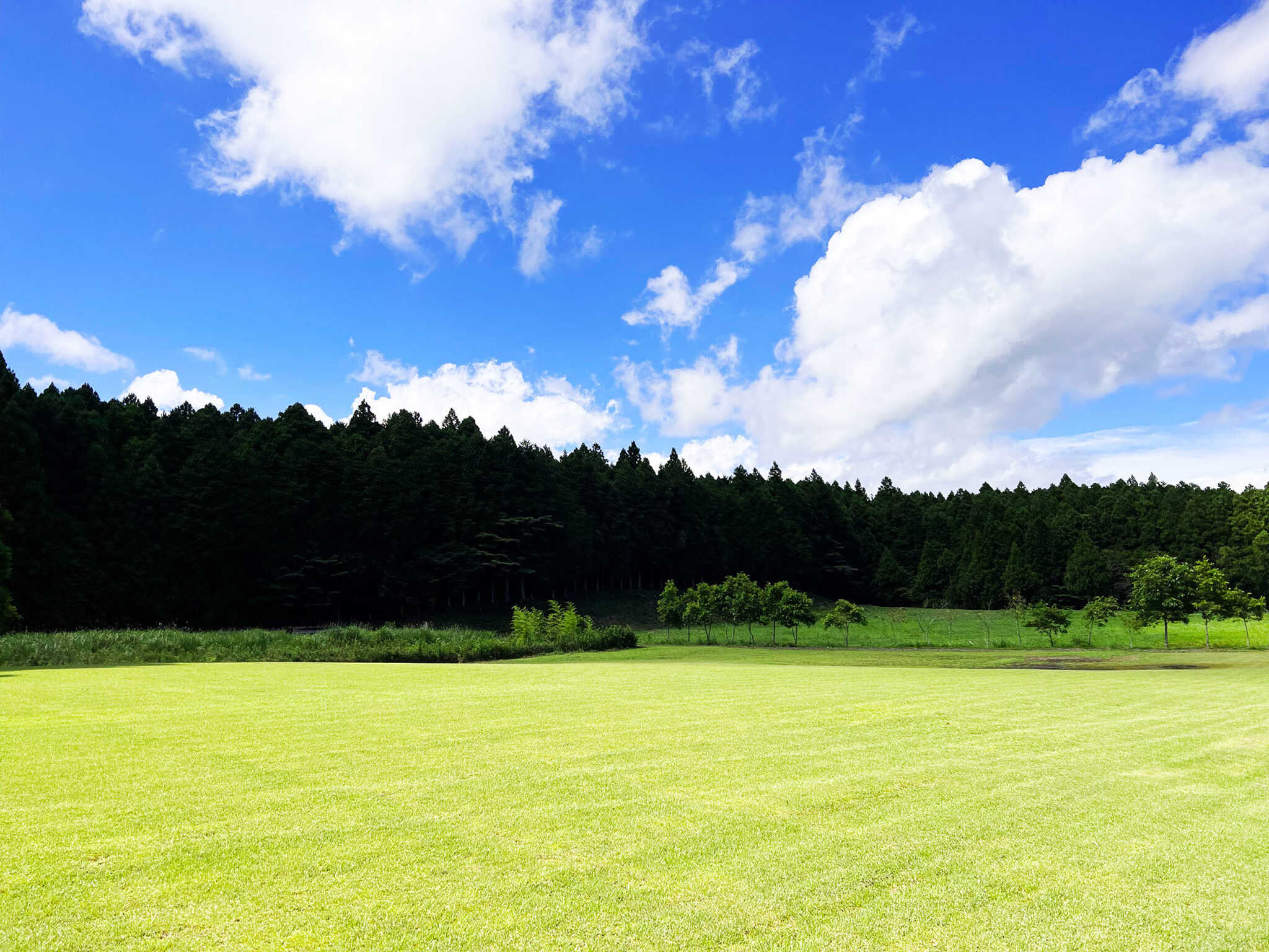 YAMA NO NIWA AUTO CAMP