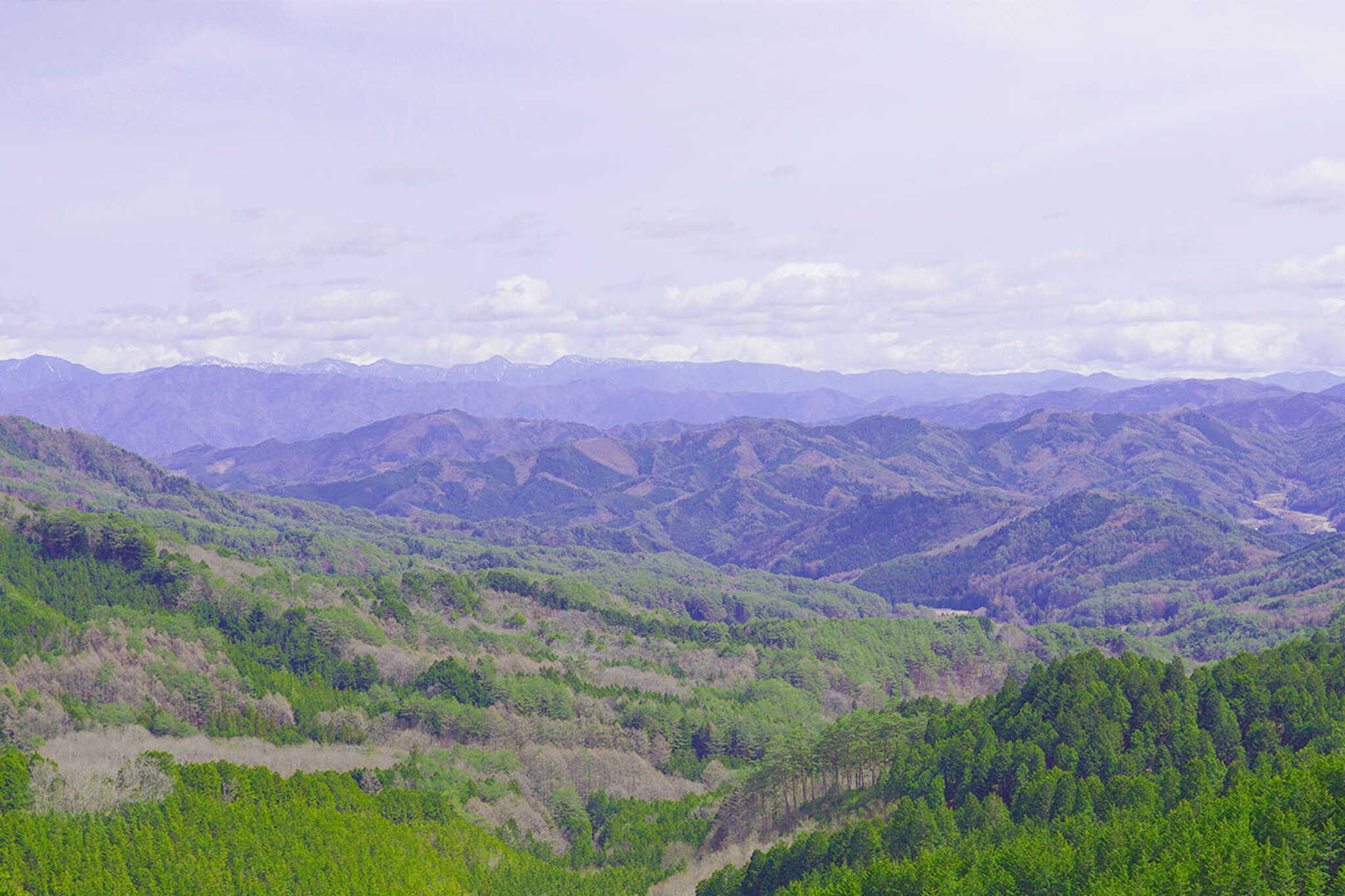 長野県の最南端にある「うるぎ村」は人口約500人の小さな村です。標高1,000M級の4つの山々に囲まれたの小さな盆地です。