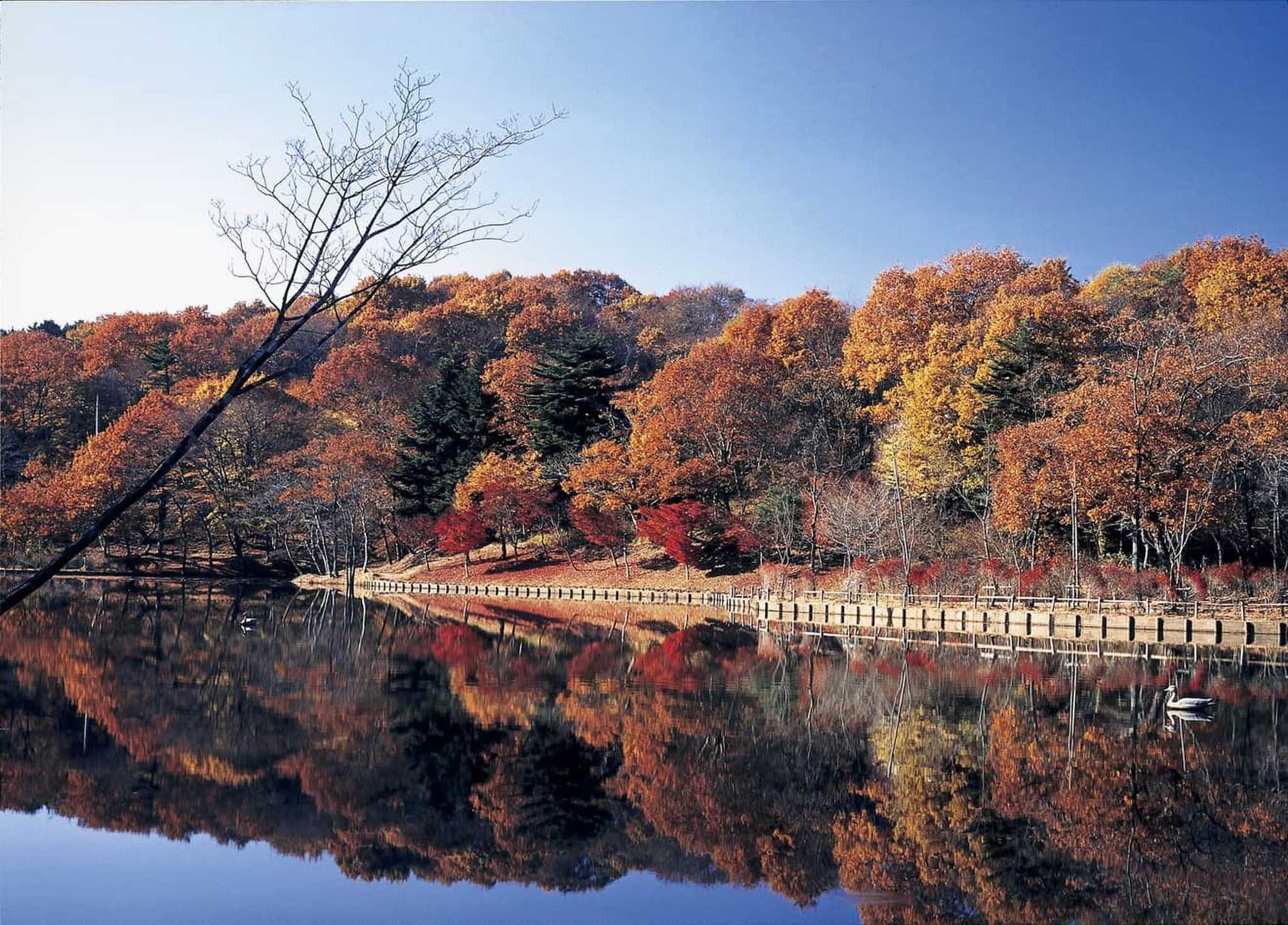 北山公園の写真 2枚目
