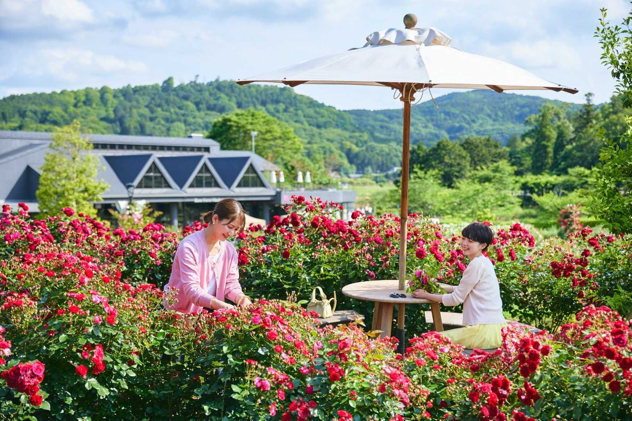 キャンプ&リゾート 花やさと山の写真 5枚目