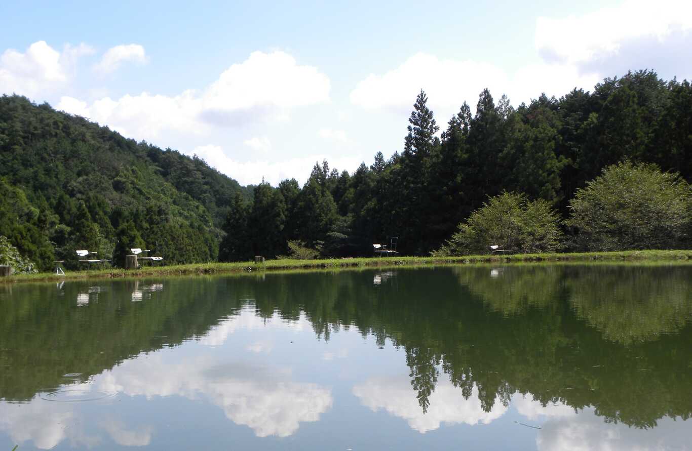 柏倉フィッシングパーク photo 2
