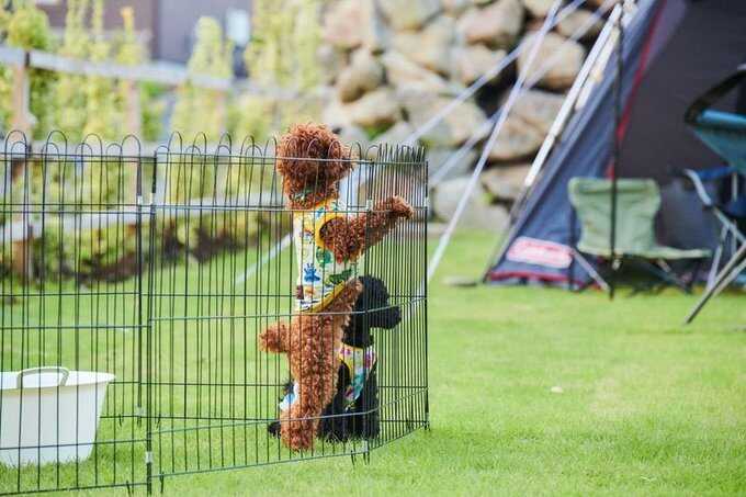 南阿蘇あぐりキャンプ場の写真 3枚目