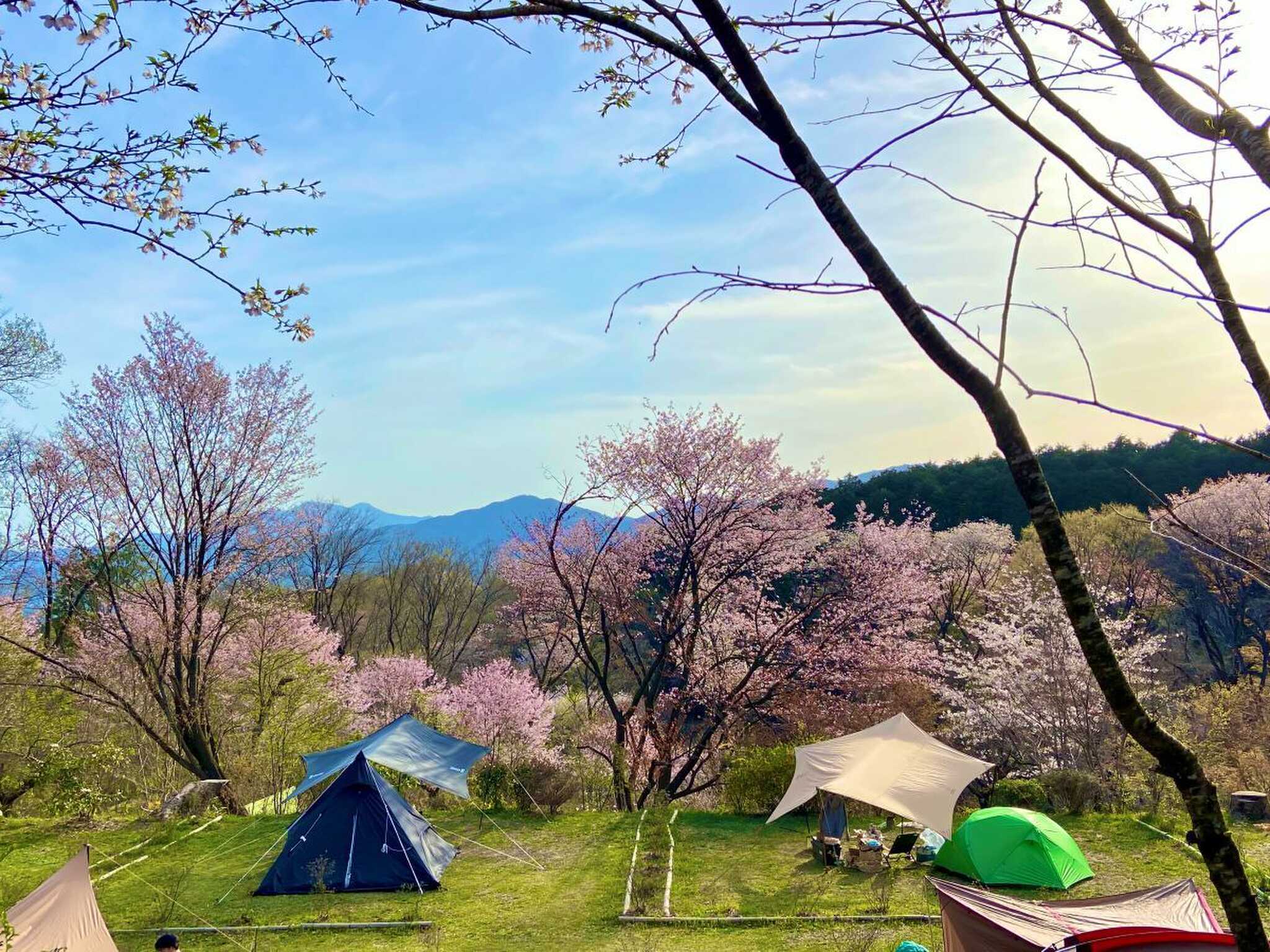 旧洗心館キャンプ場の写真 2枚目