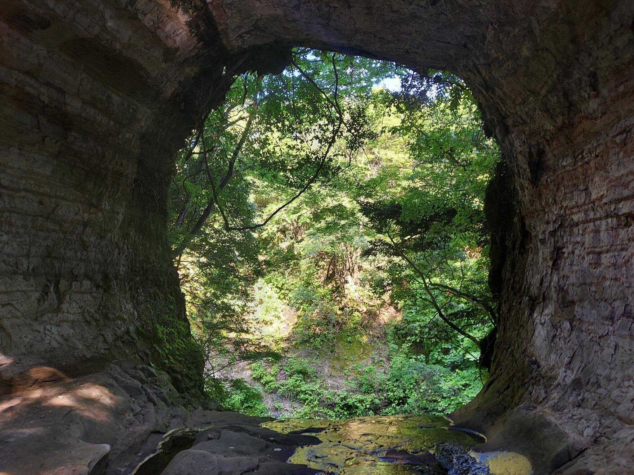 奥米・木村農園キャンプ場