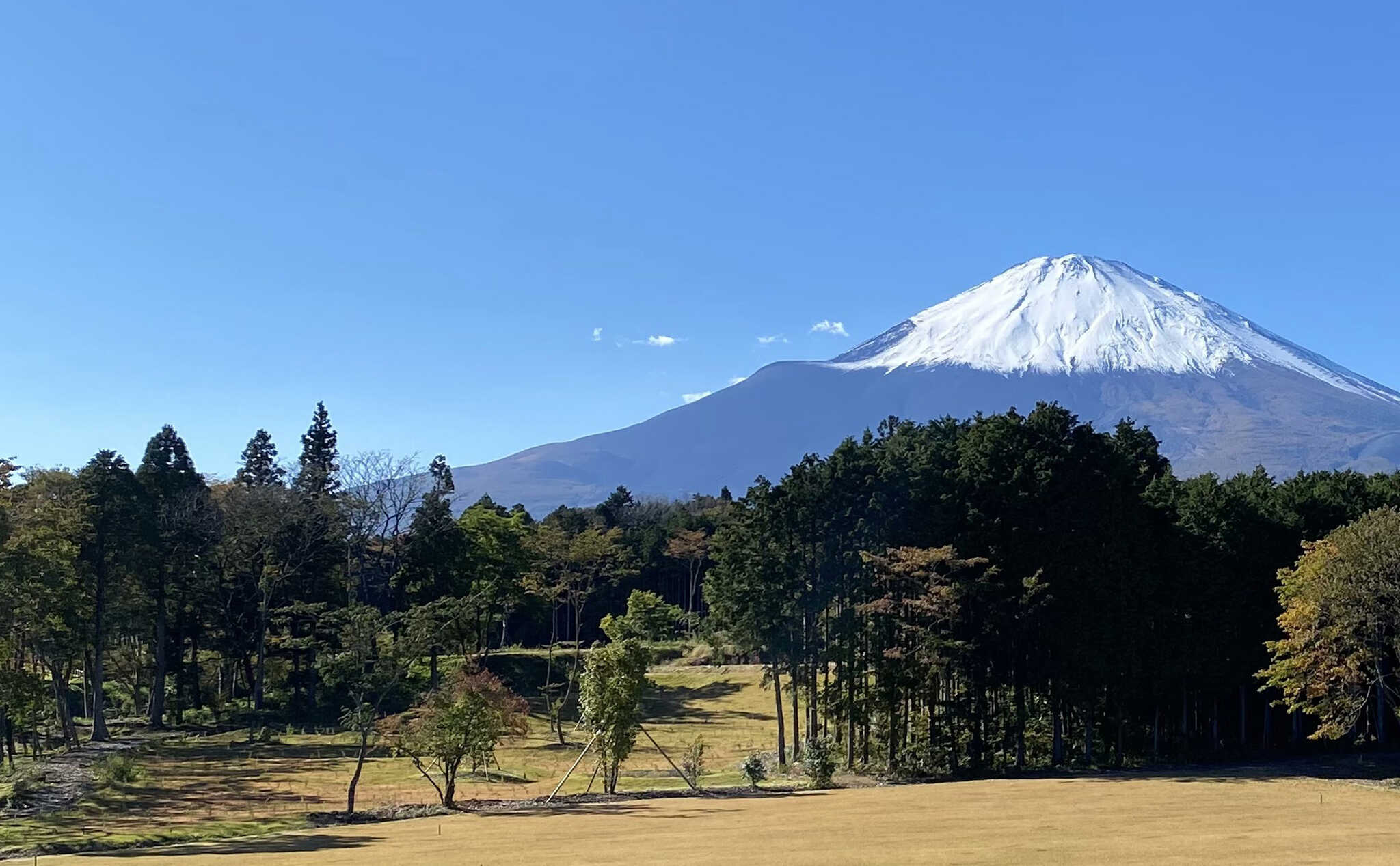 高嶺の森のキャンプ場の写真 1枚目