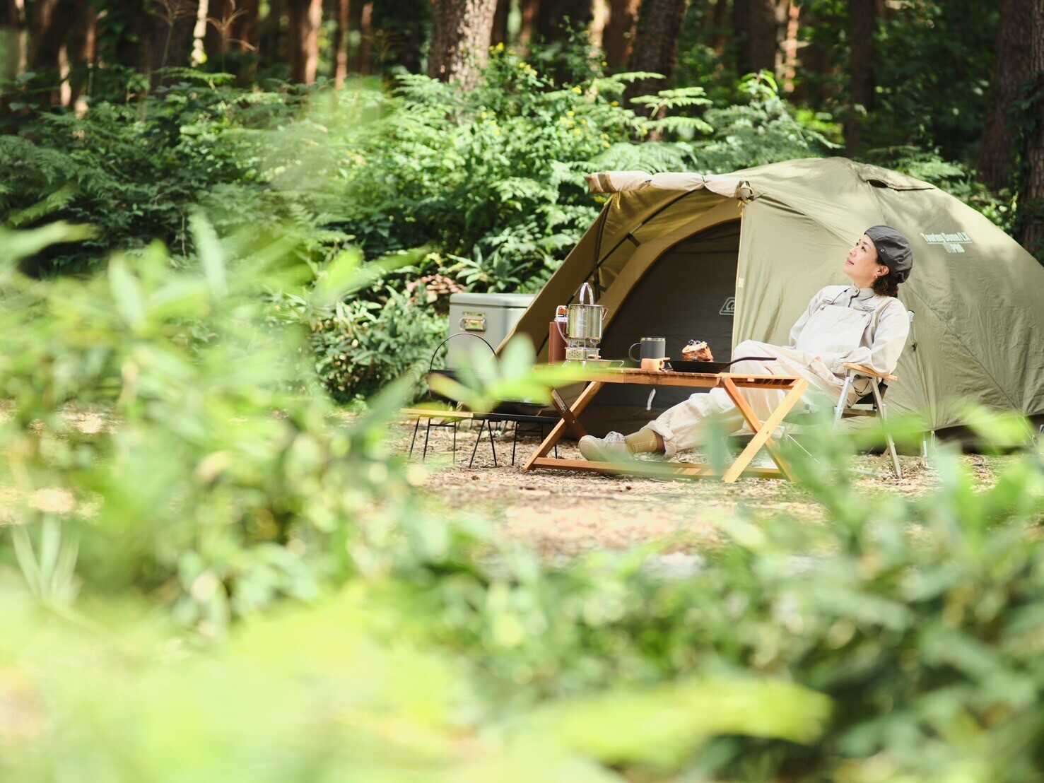 CAMP 赤松に囲まれた林間サイトはすべてのサイトで車乗り入れOK