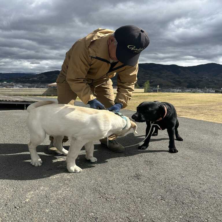 くつろぎたいのも山々 photo 2