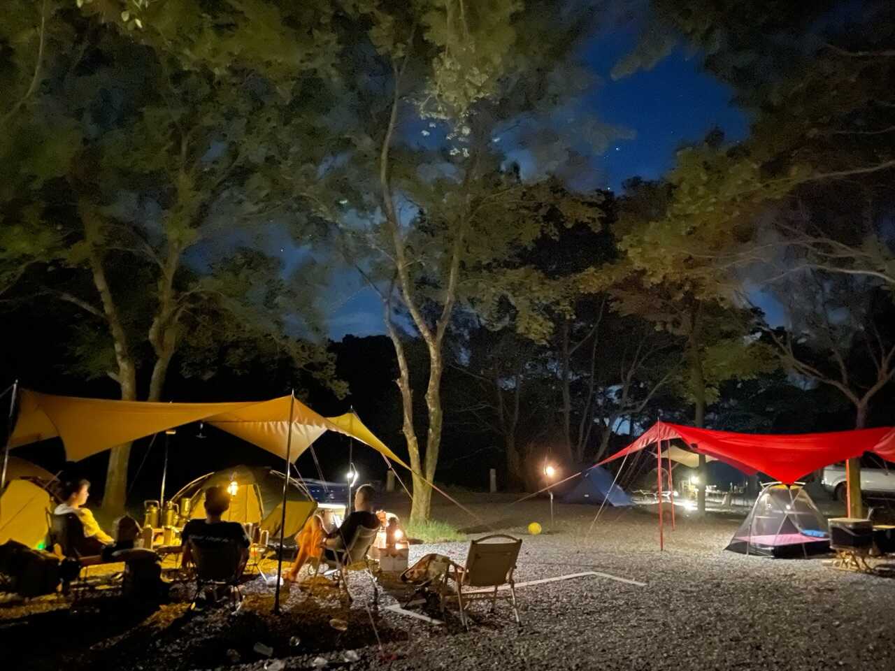 夜のオートサイト風景