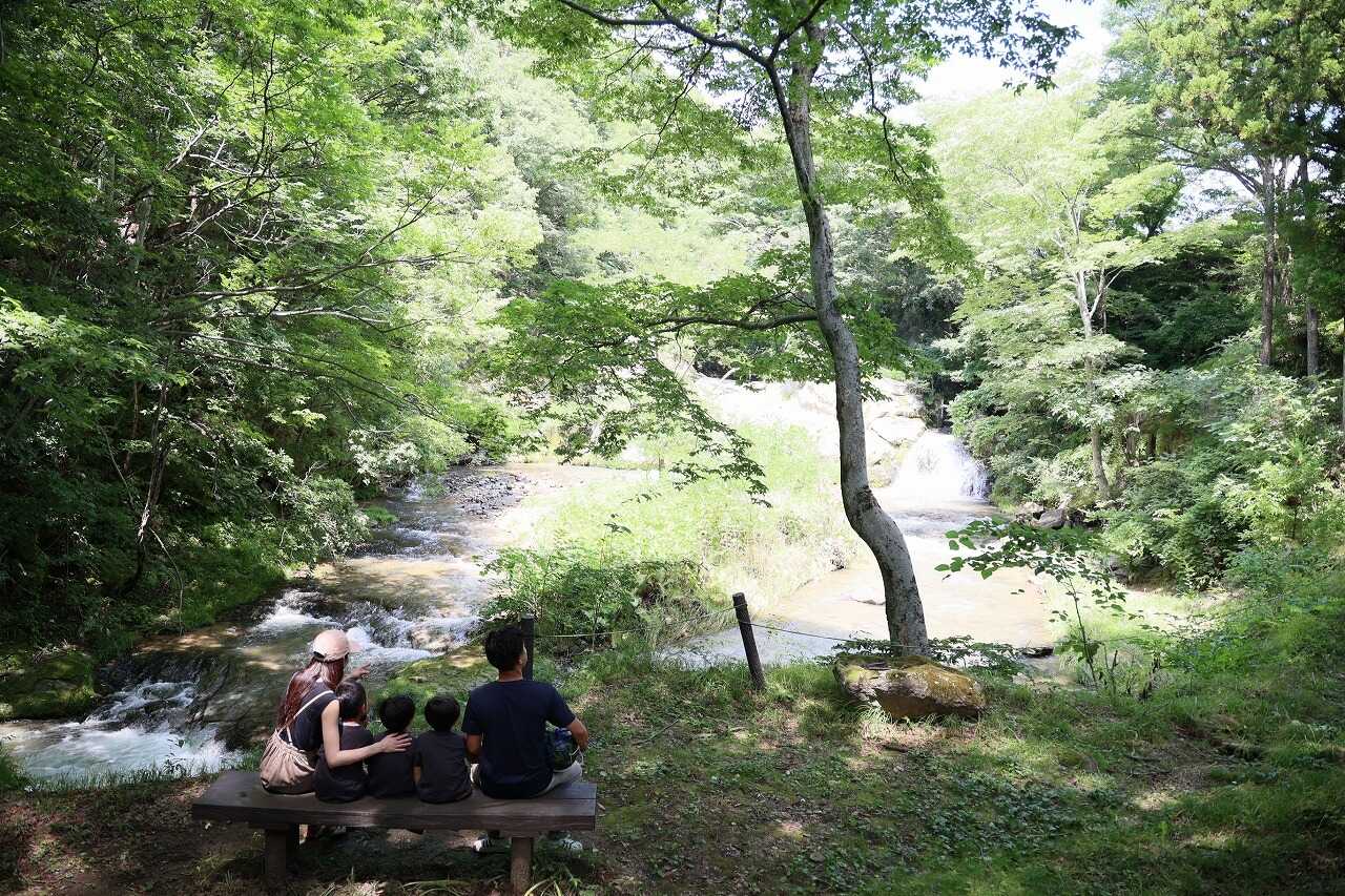 SENKO TINY CAMPの写真 5枚目