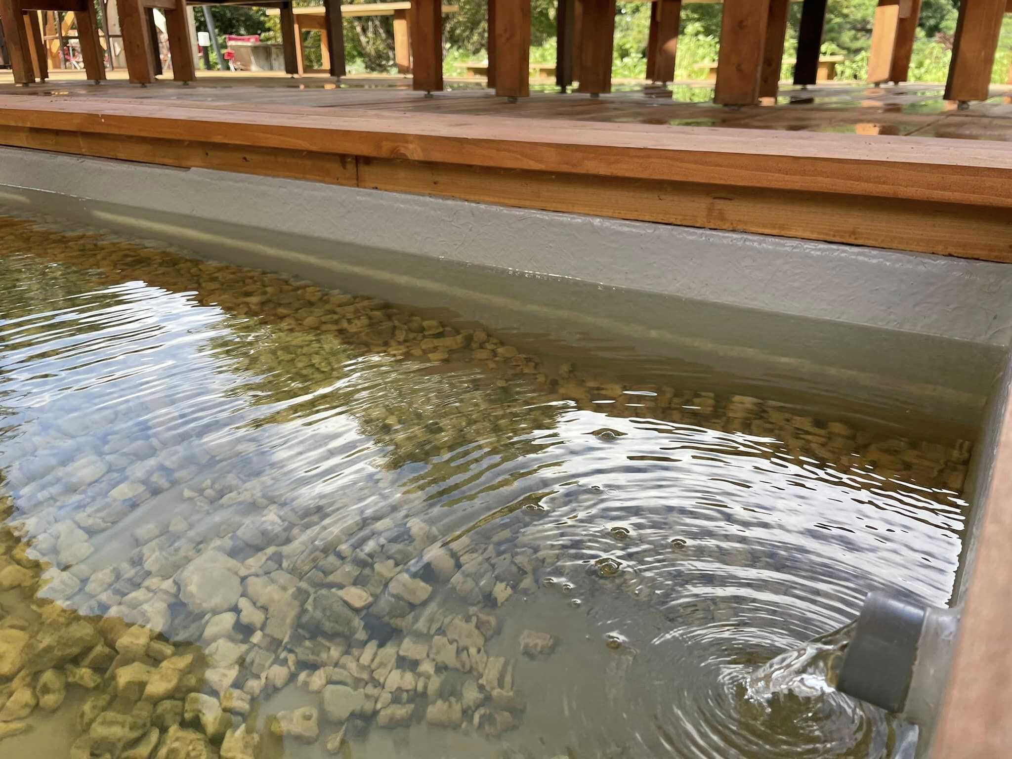 源泉掛け流しの足湯は無料で入れます
