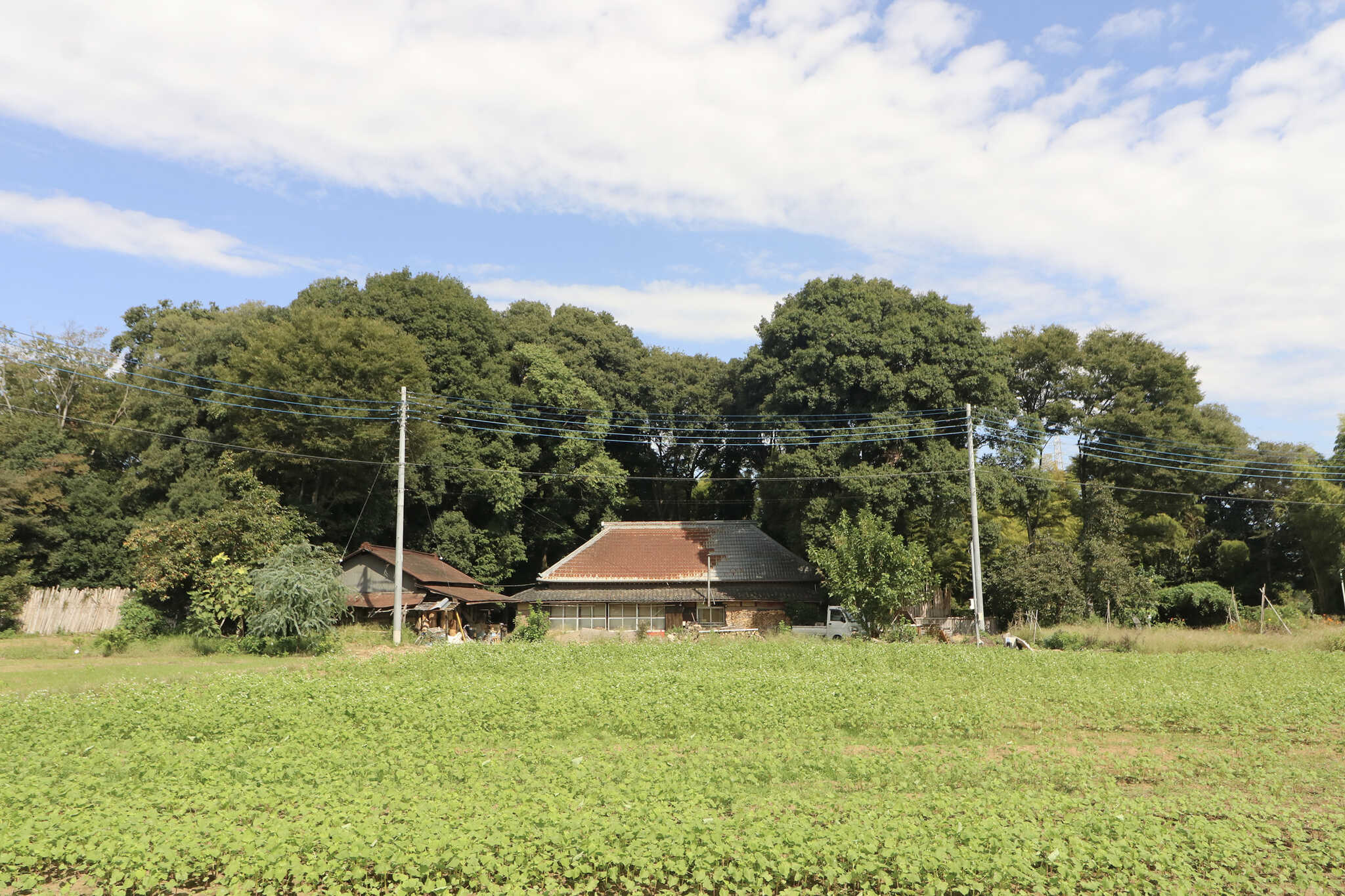 蓮田裏庭キャンプ場