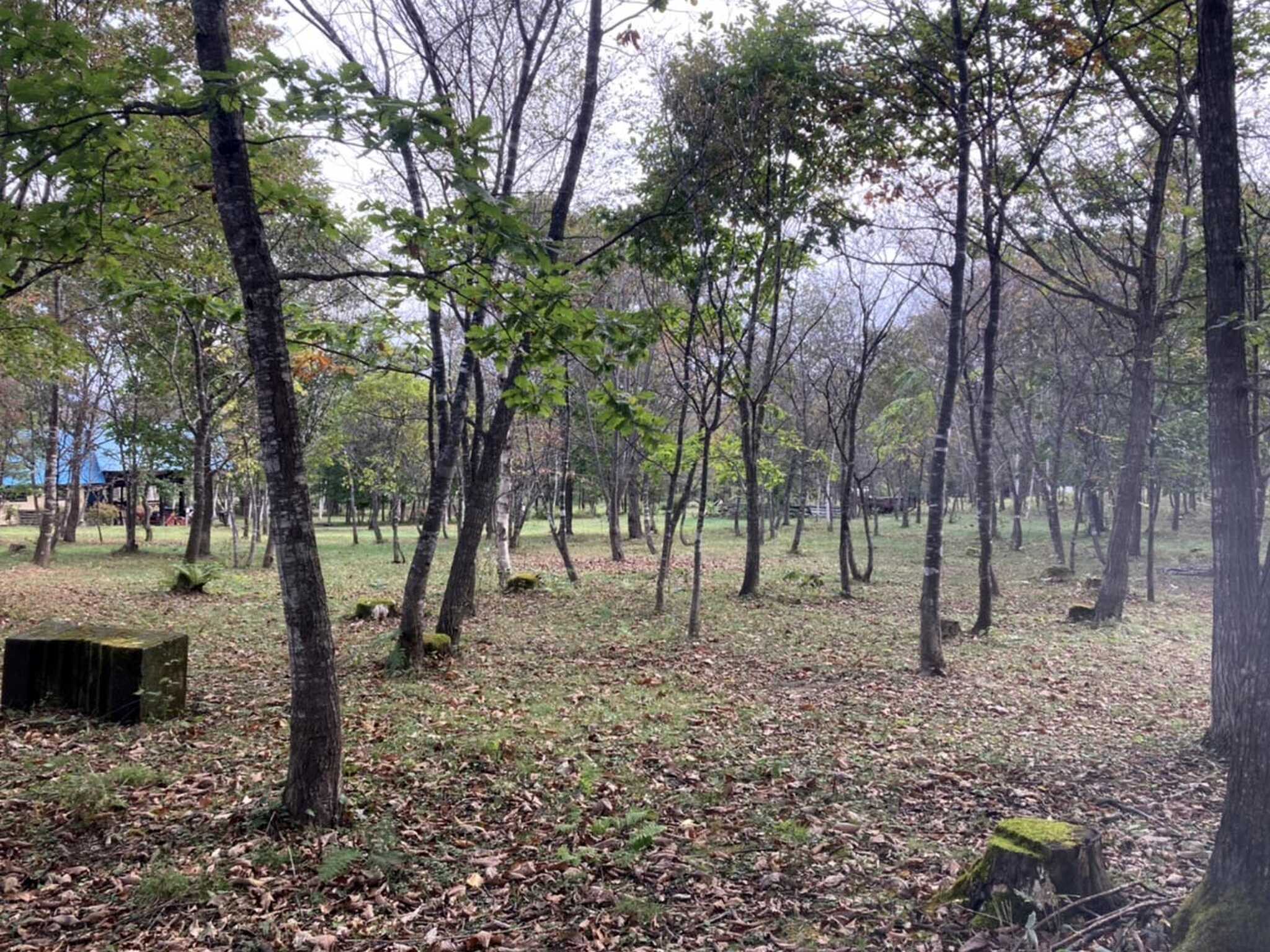 Pre Hub 十勝〈グランピング・野営キャンプ場〉の写真 3枚目