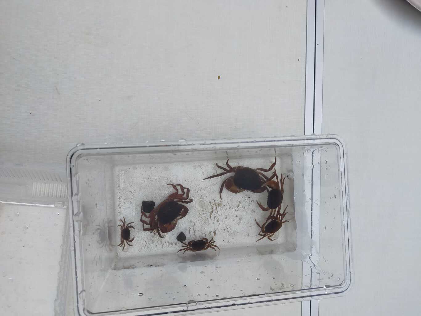 蛍の里かぬまピッコロキャンプ場 photo 5