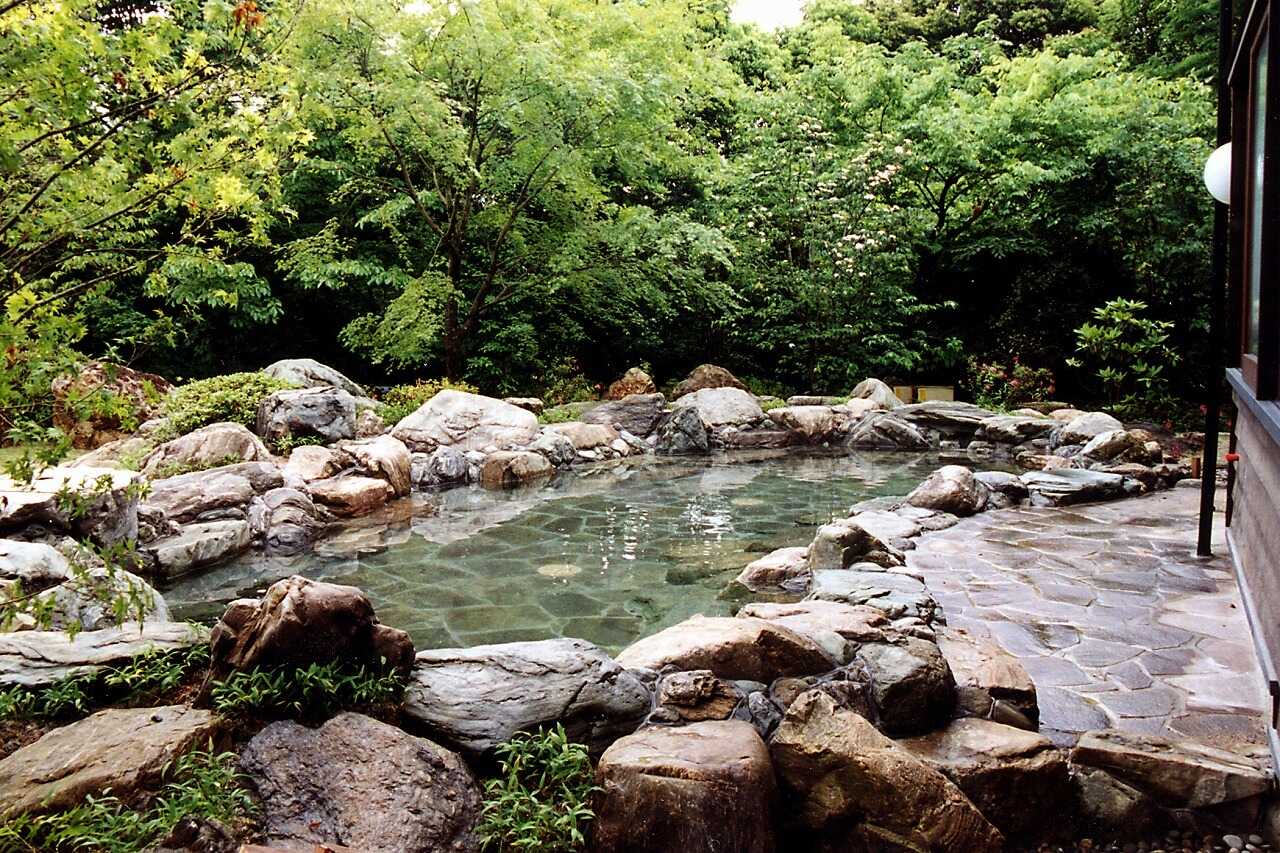 池の山キャンプ場の写真 4枚目