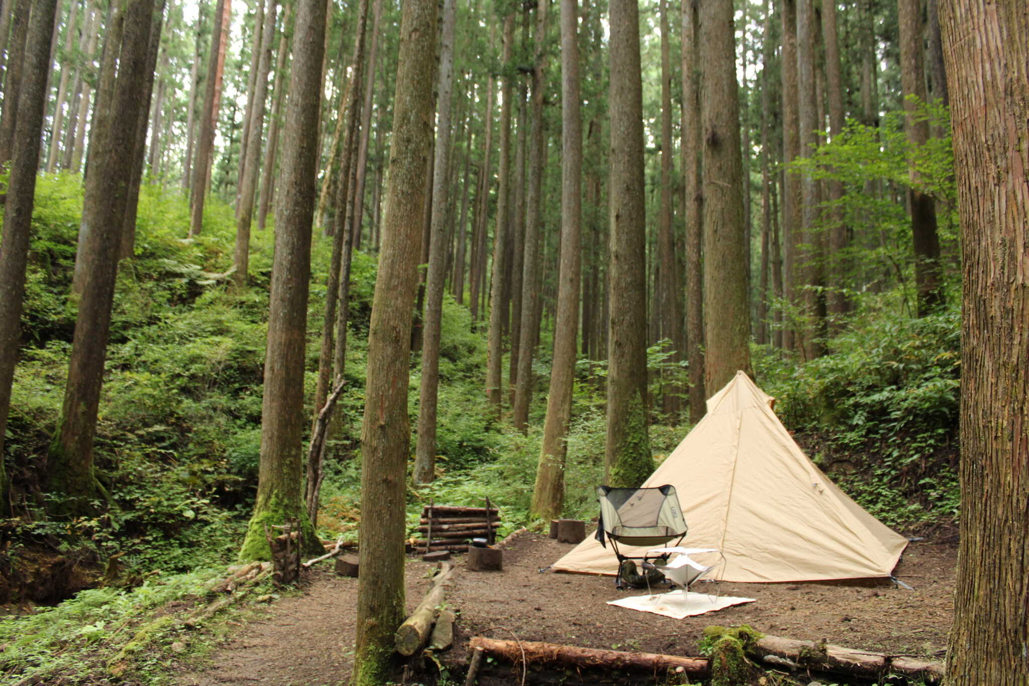 BUSH CRAFT BASE(君嶋林業キャンプ場)の写真 3枚目