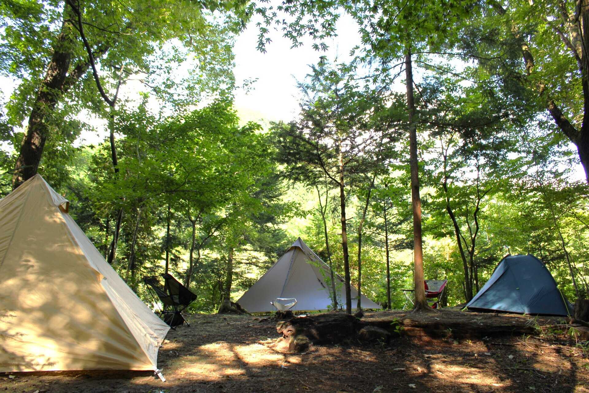 BUSH CRAFT BASE(君嶋林業キャンプ場)