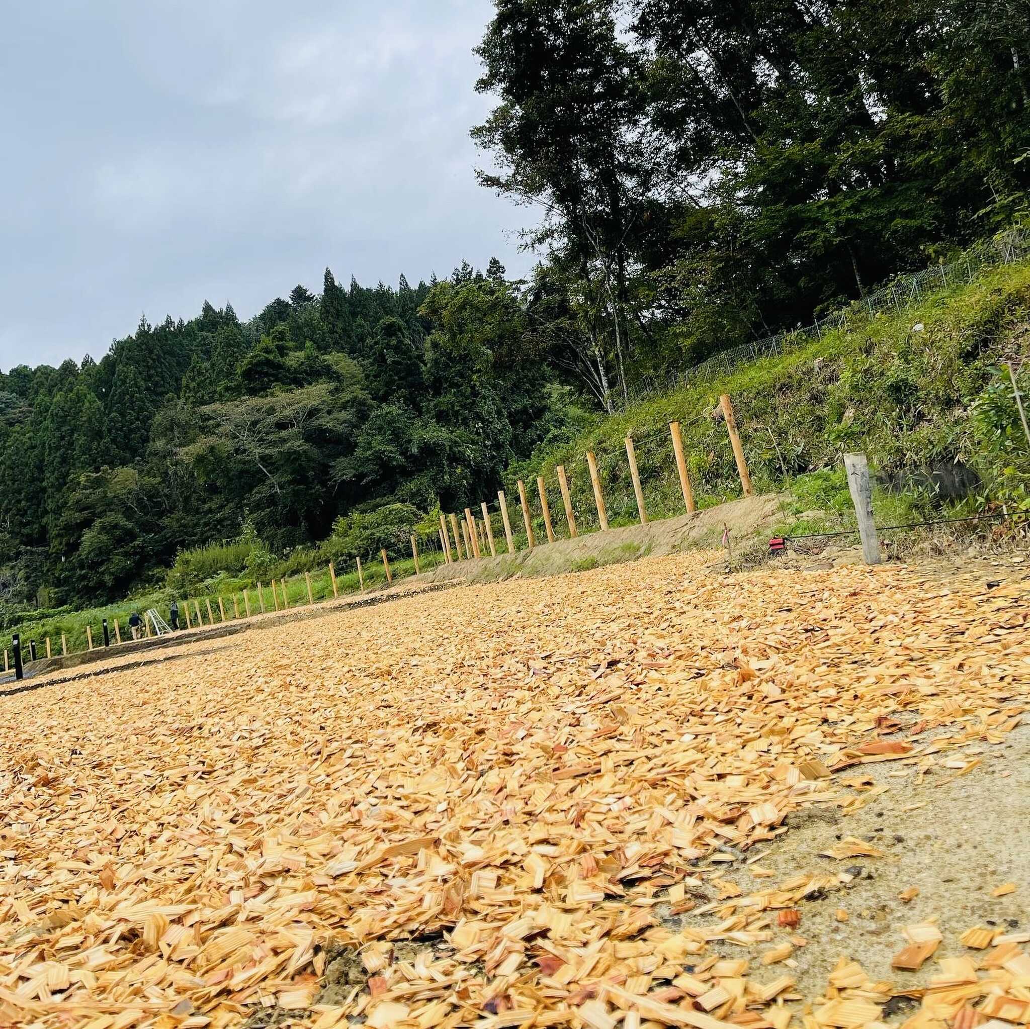 GREEN BASE CAMP AKIUの写真 2枚目