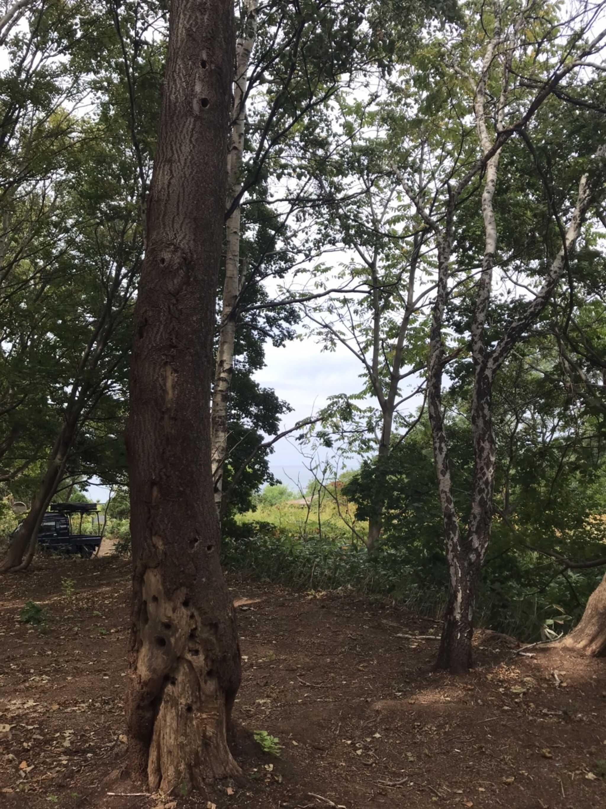 monk camp siteの写真 2枚目