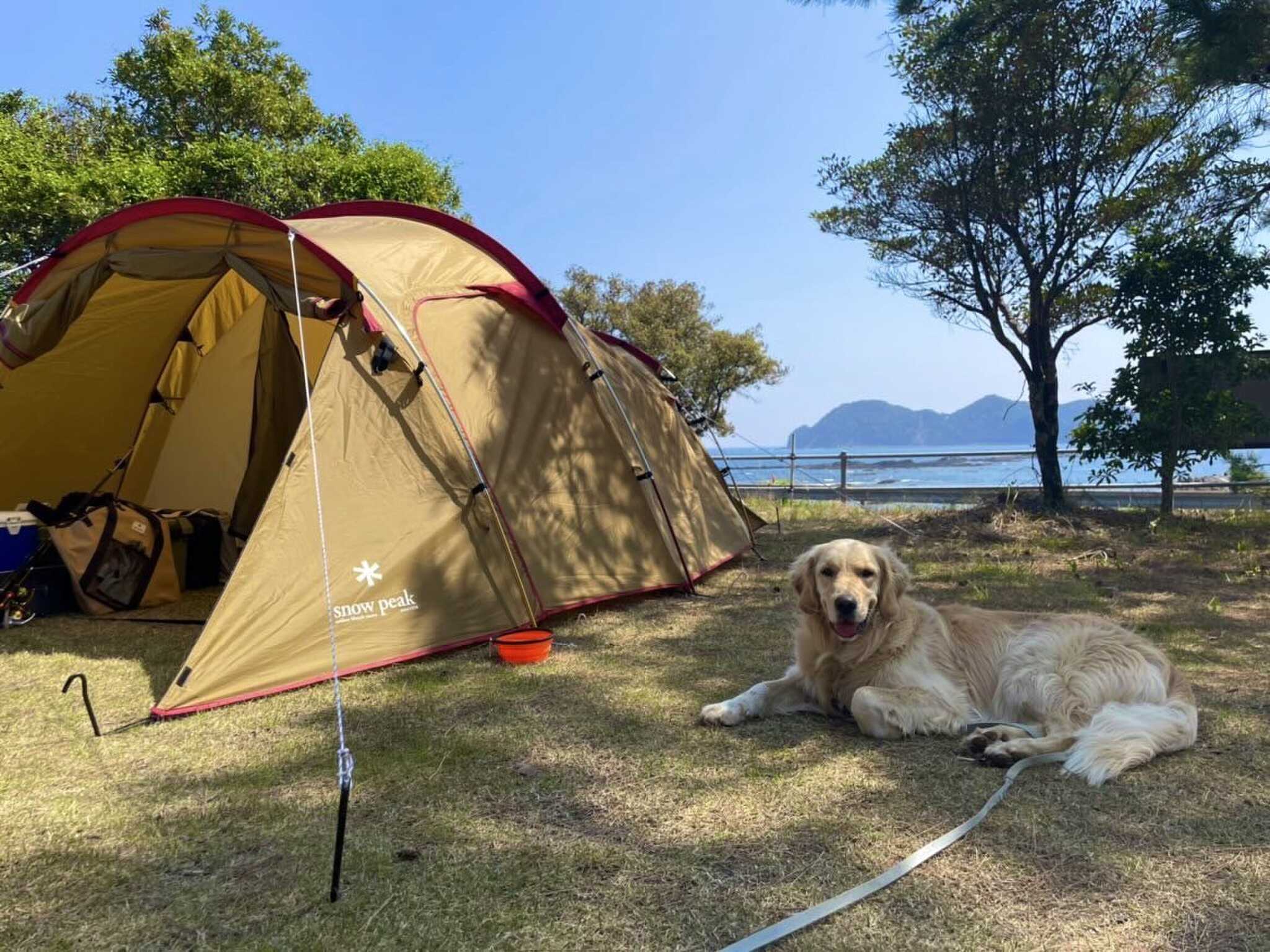 ペットと一緒に宿泊可能です