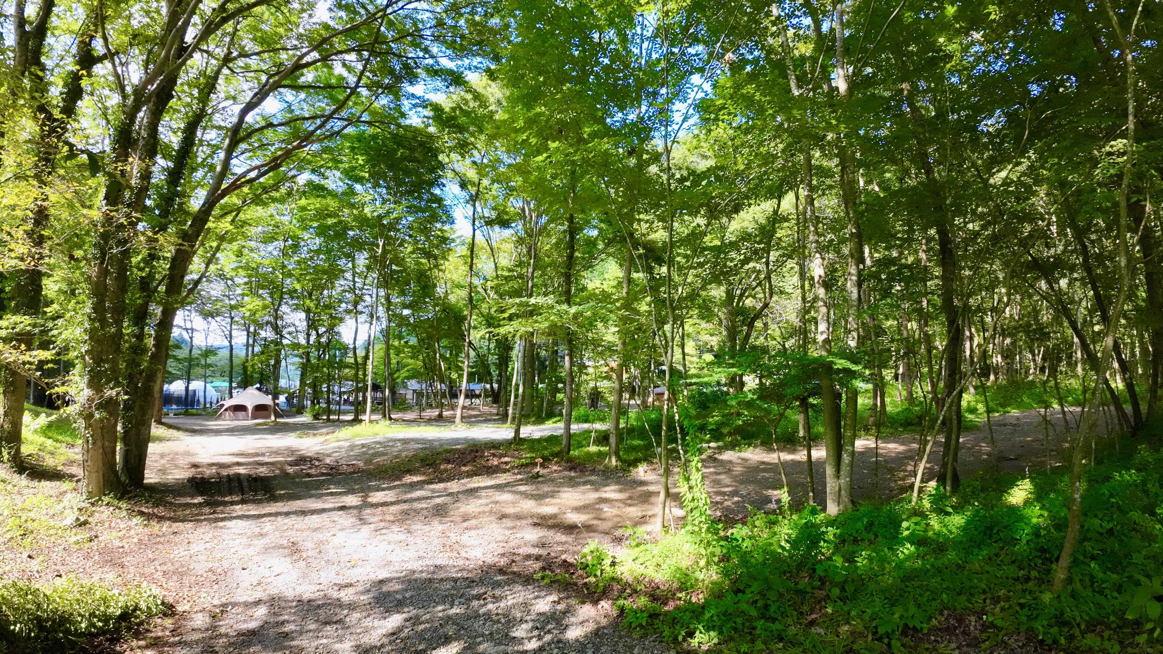 秩父定峰清流キャンプ場