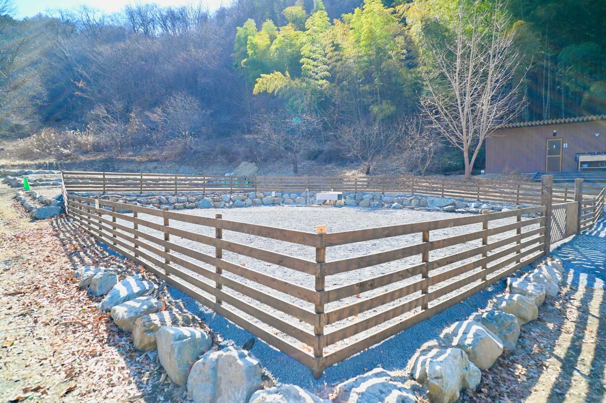 秩父定峰清流キャンプ場
