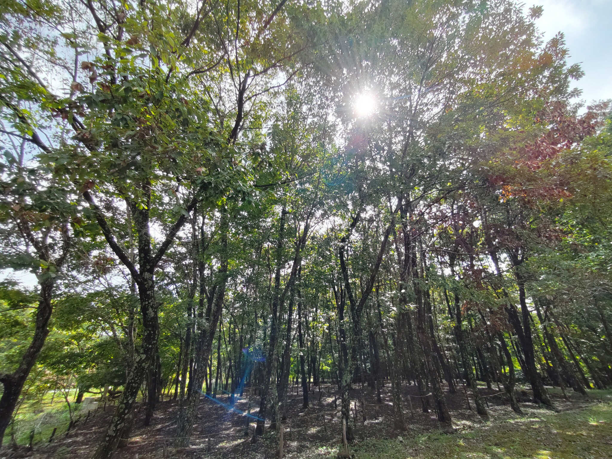 平須CAMP21の写真 5枚目