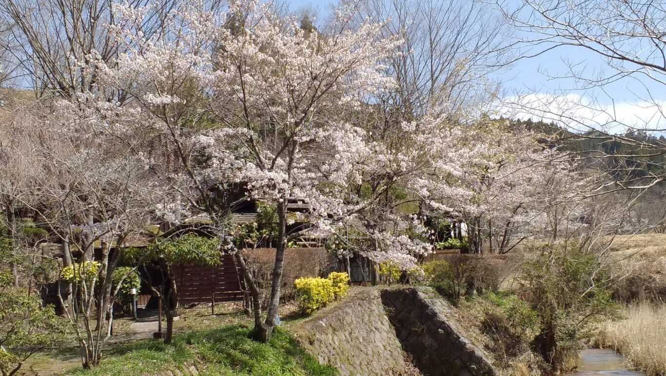 ASOGUNIグランピング photo 3