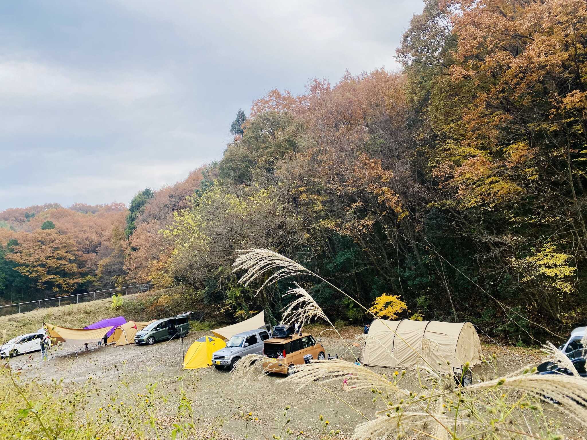 森林公園オートキャンプ場1ワン
